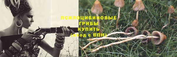 марки nbome Горняк